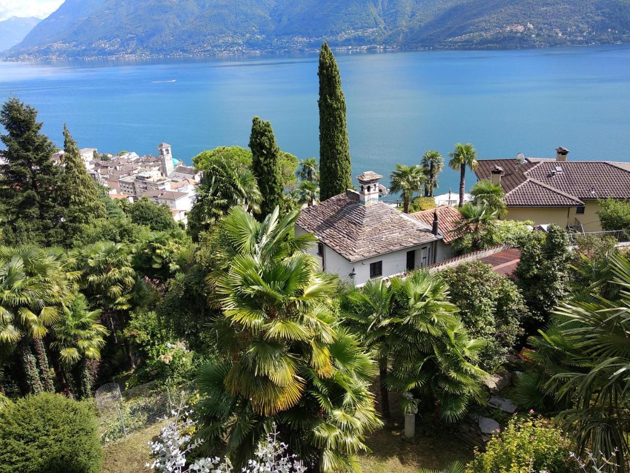 Residence Venus Garden Brissago TI Exterior foto